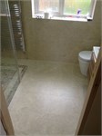 10 shower and toilet